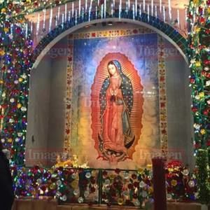 Meet your Posher, Juana